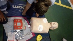 ATUALIZAÇÃO EM SBV_CREF1